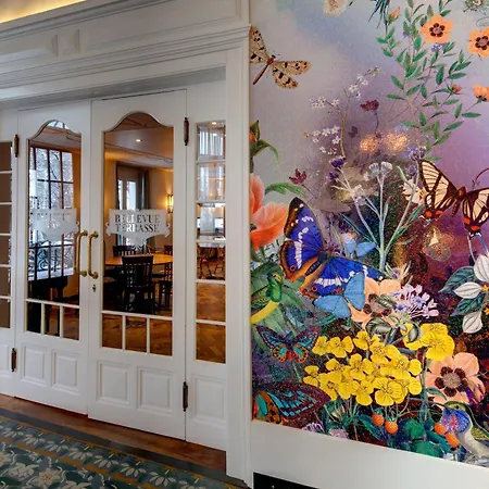 Отель Boutique Bellevue