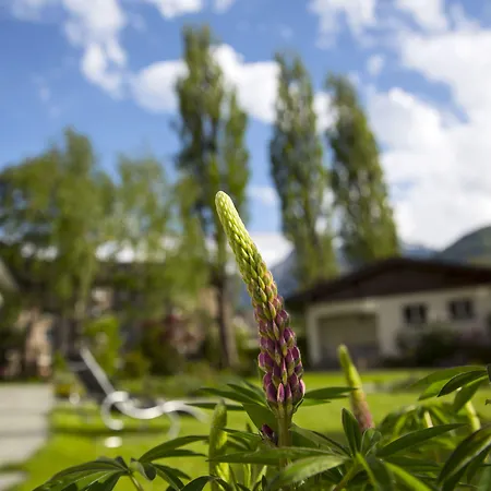 Hotel Boutique Bellevue