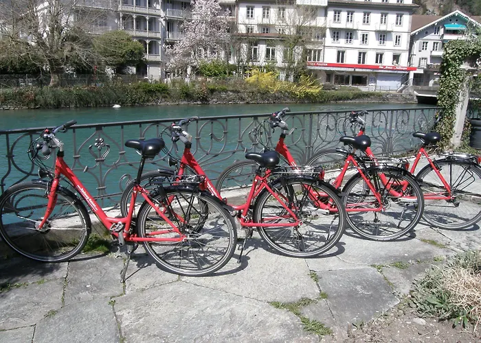 Boutique Bellevue ホテル 4*