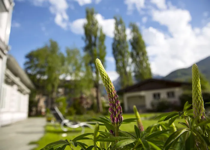 ホテル Boutique Bellevue